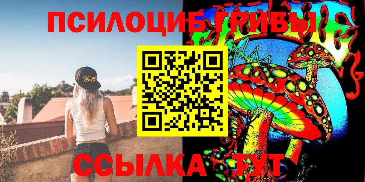 где купить наркоту  Вход с VPN  Сокол  Псилоцибиновые грибы Cubensis 